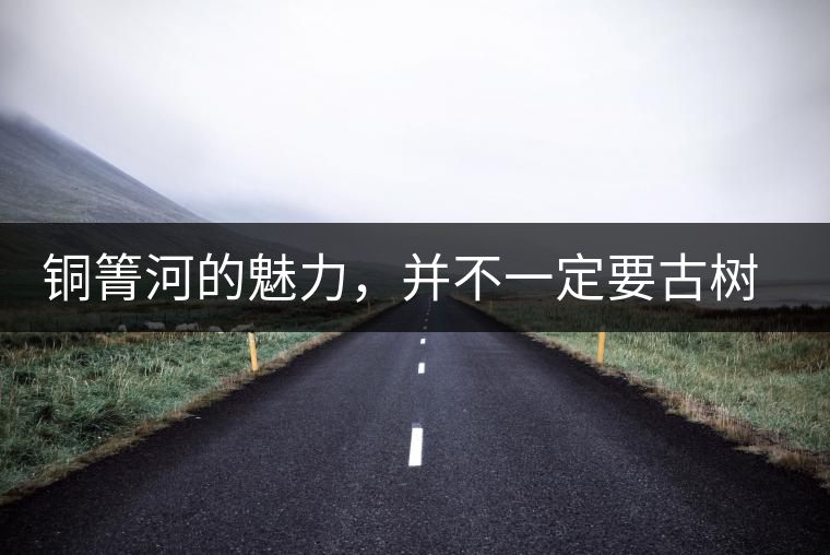 銅箐河的魅力，并不一定要古樹(shù)來(lái)體現(xiàn)