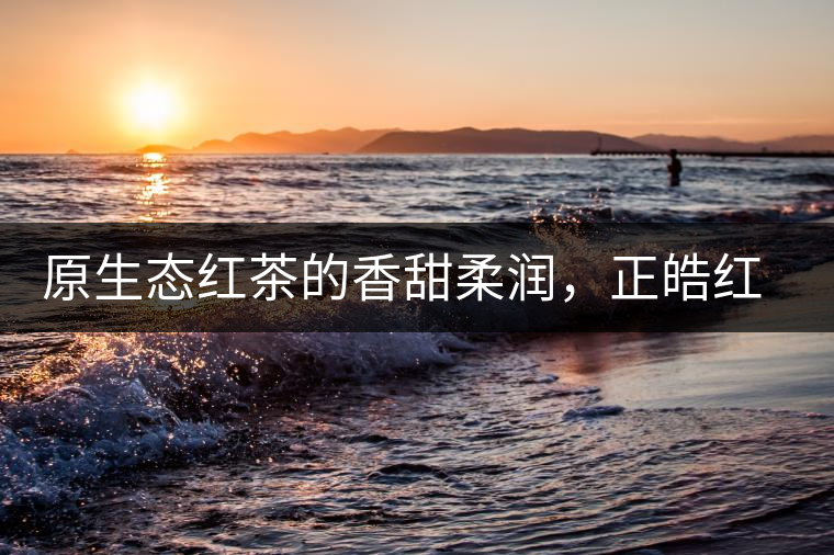 原生態(tài)紅茶的香甜柔潤(rùn)，正皓紅的魅力無(wú)可抵擋！