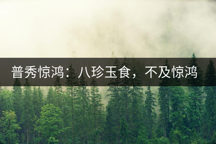普秀驚鴻：八珍玉食，不及驚鴻一湯