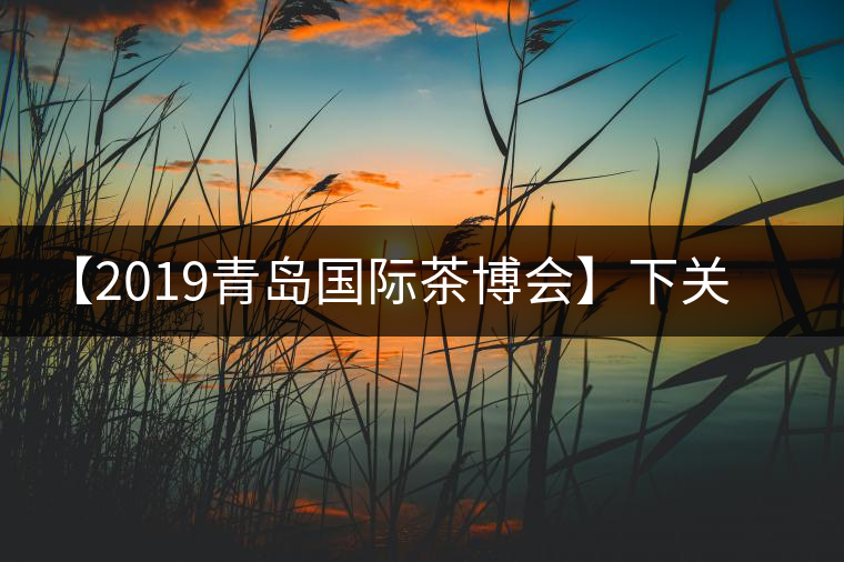 【2019青島國際茶博會】下關沱茶攜新品C位亮相！