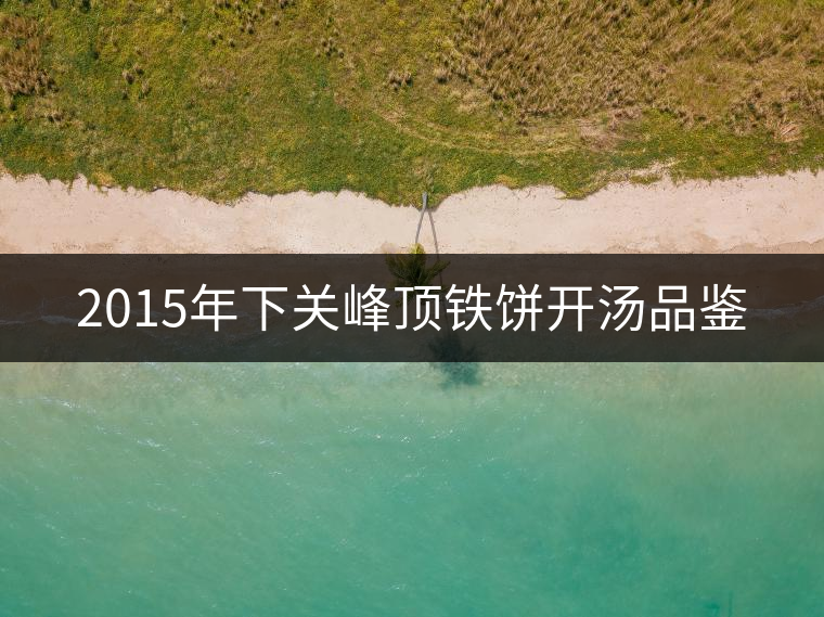 2015年下關(guān)峰頂鐵餅開湯品鑒 2015年下關(guān)峰頂鐵餅開湯品鑒