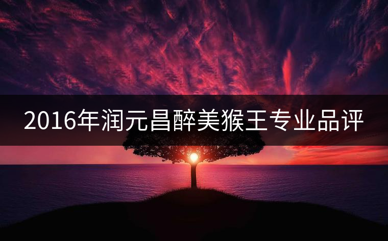 2016年潤(rùn)元昌醉美猴王專業(yè)品評(píng) 2016年潤(rùn)元昌醉美猴王專業(yè)品評(píng)