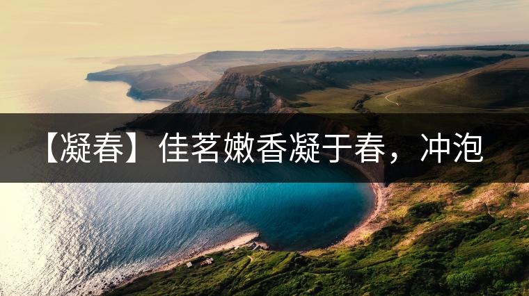 【凝春】佳茗嫩香凝于春，沖泡要訣盡在此