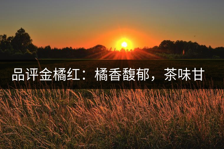 品評(píng)金橘紅：橘香馥郁，茶味甘醇，匠心拼配，臻于至善