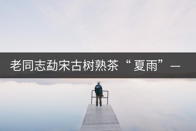 老同志勐宋古樹熟茶“ 夏雨”— 飲茶伴夏，只為您！
