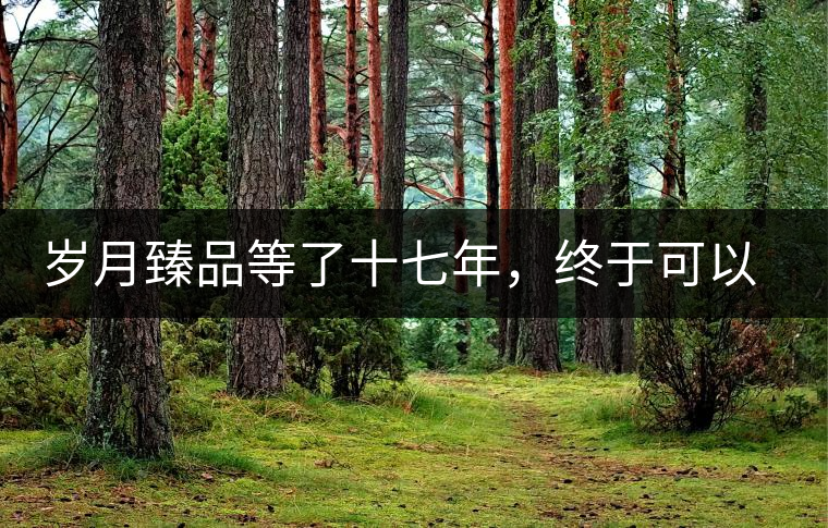 歲月臻品等了十七年，終于可以品味歲月