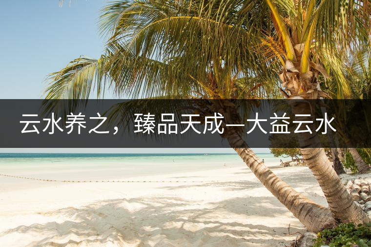 云水養(yǎng)之，臻品天成—大益云水臻開湯