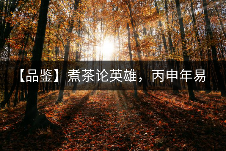 【品鑒】煮茶論英雄，丙申年易武麻黑