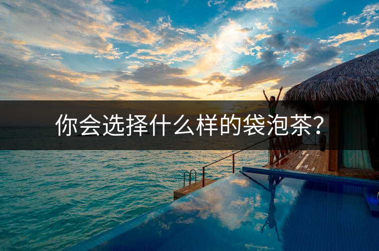 你會(huì)選擇什么樣的袋泡茶？