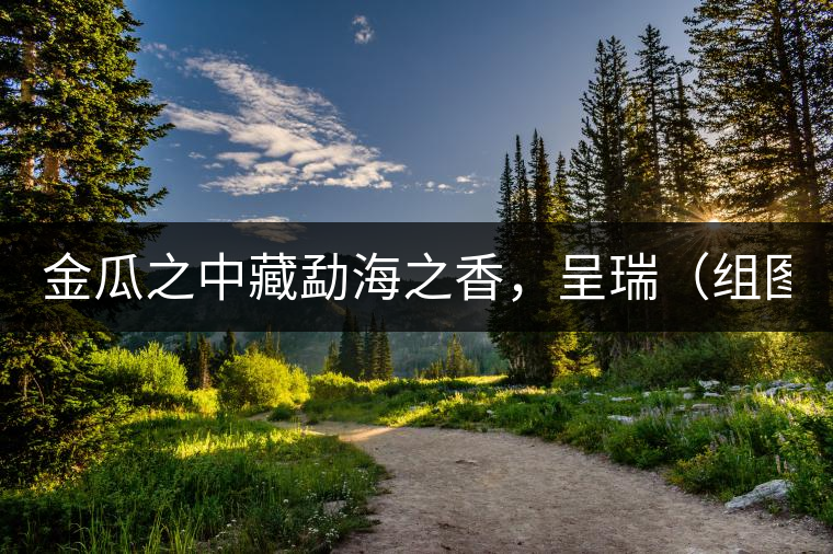 金瓜之中藏勐海之香，呈瑞（組圖）