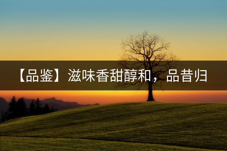 【品鑒】滋味香甜醇和，品昔歸古樹黃片