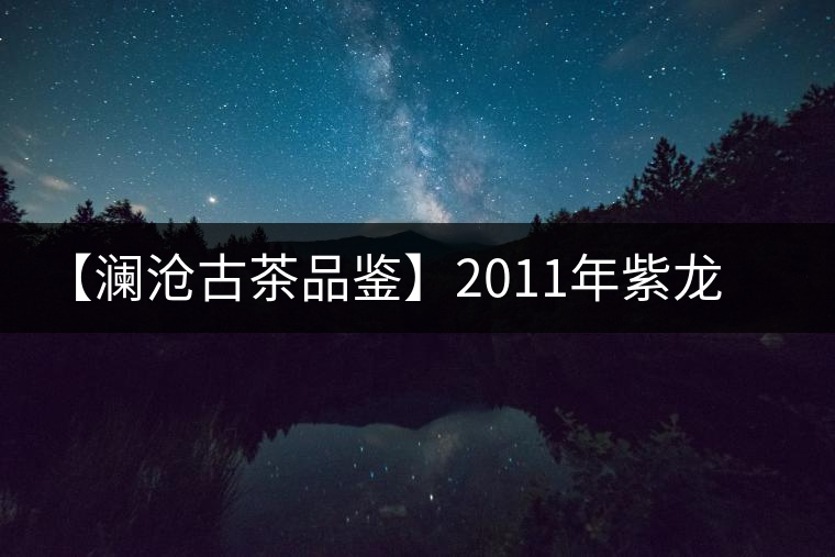 【瀾滄古茶品鑒】2011年紫龍圓茶