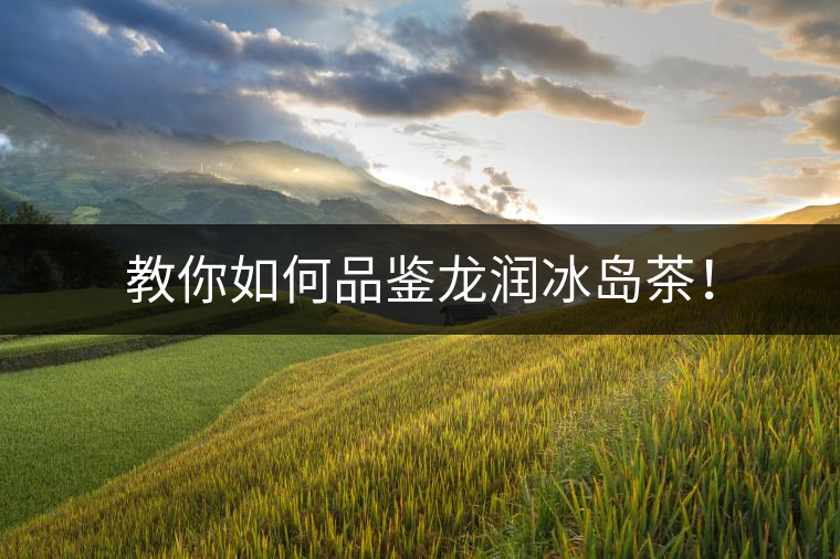 教你如何品鑒龍潤(rùn)冰島茶！