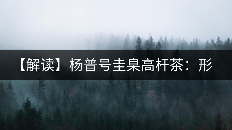 【解讀】楊普號圭臬高桿茶：形高、氣足、韻遠(yuǎn)的一款茶