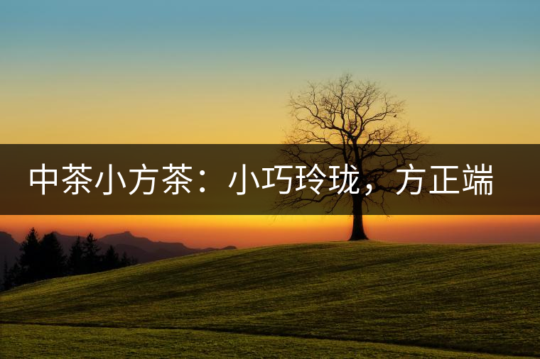 中茶小方茶：小巧玲瓏，方正端莊