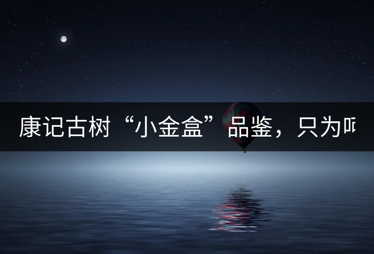 康記古樹“小金盒”品鑒，只為呵護您的味蕾！