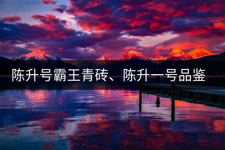 陳升號(hào)霸王青磚、陳升一號(hào)品鑒【圖】