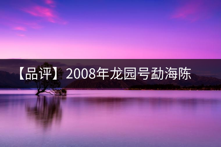【品評】2008年龍園號勐海陳香熟磚