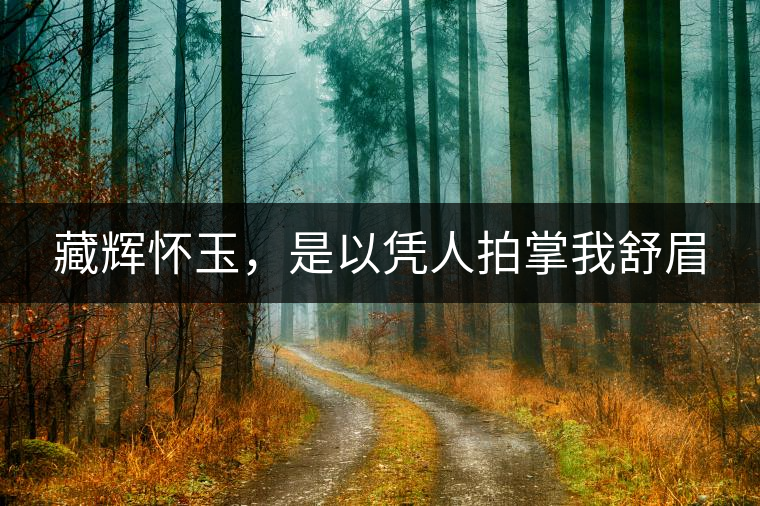 藏輝懷玉，是以憑人拍掌我舒眉