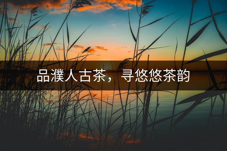 品濮人古茶，尋悠悠茶韻