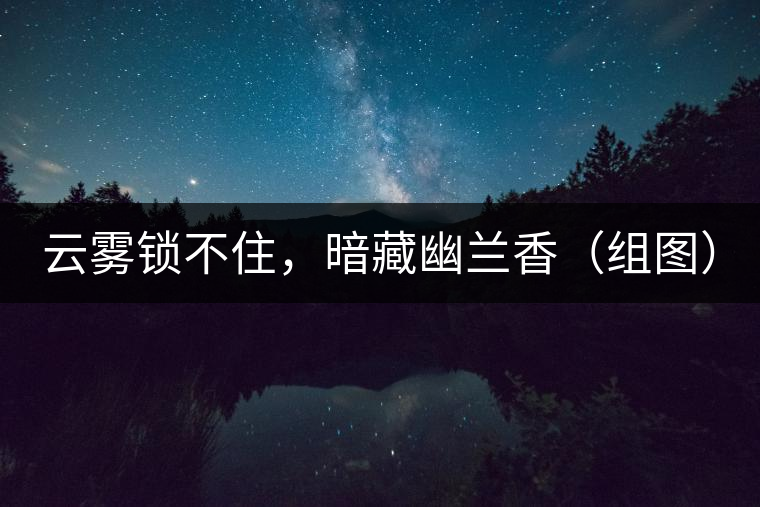 云霧鎖不住，暗藏幽蘭香（組圖）