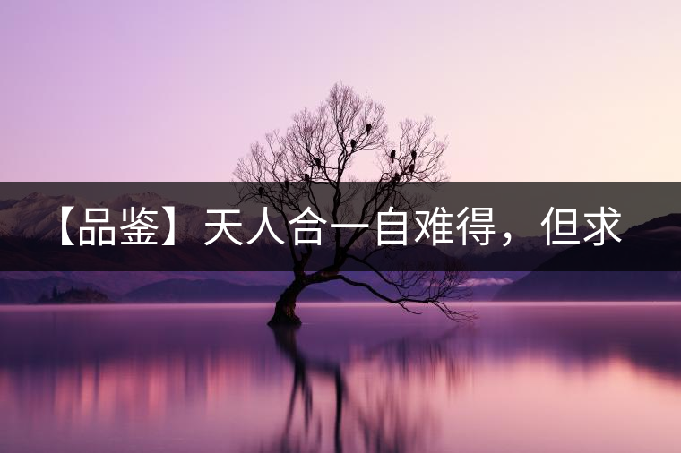 【品鑒】天人合一自難得，但求得茶之本味