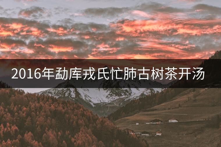 2016年勐庫(kù)戎氏忙肺古樹(shù)茶開(kāi)湯賞析