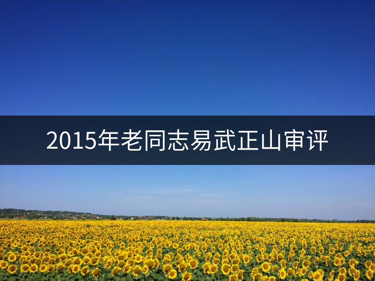 2015年老同志易武正山審評(píng)