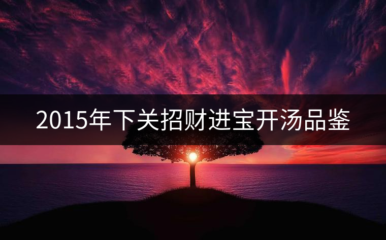 2015年下關(guān)招財進(jìn)寶開湯品鑒