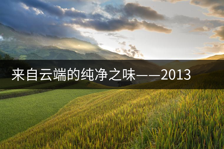 來自云端的純凈之味——2013年七彩云南云滋味熟茶開湯