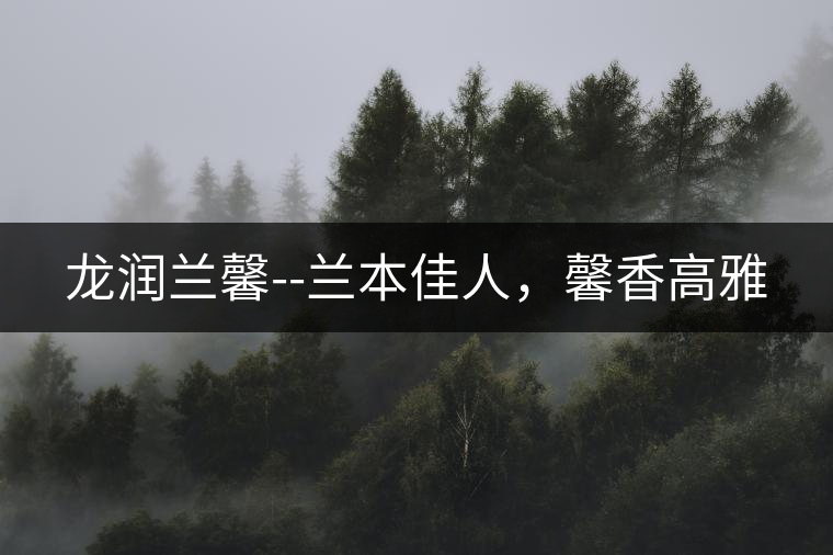 龍潤蘭馨--蘭本佳人，馨香高雅