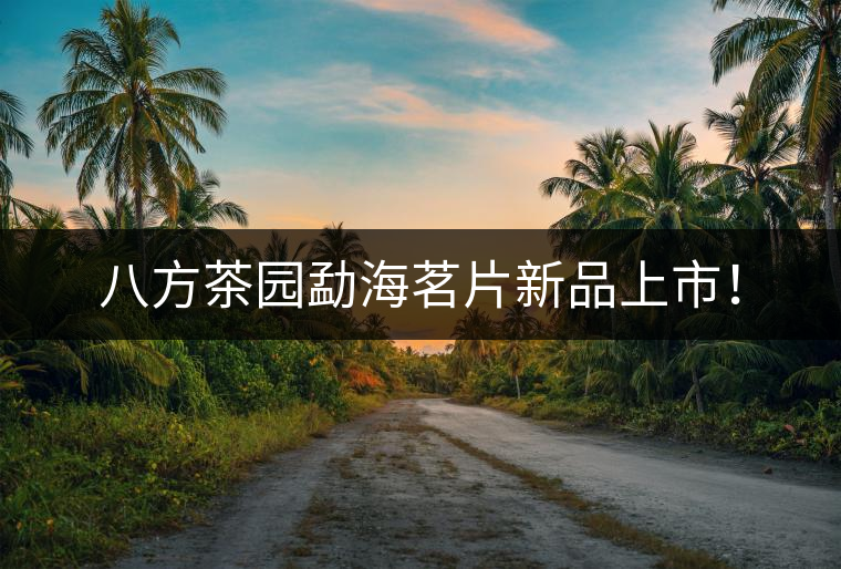 八方茶園勐海茗片新品上市！