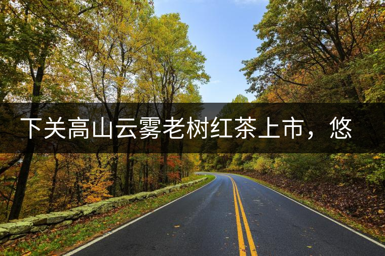 下關(guān)高山云霧老樹(shù)紅茶上市，悠悠春茶香