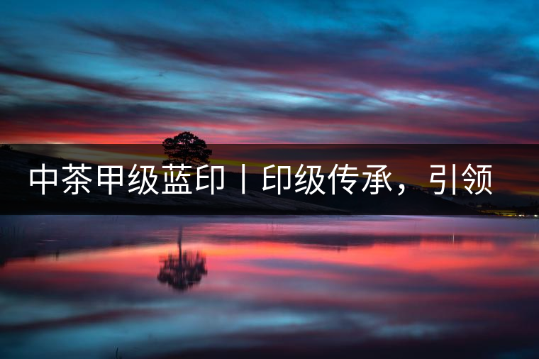 中茶甲級藍(lán)印丨印級傳承，引領(lǐng)風(fēng)韻
