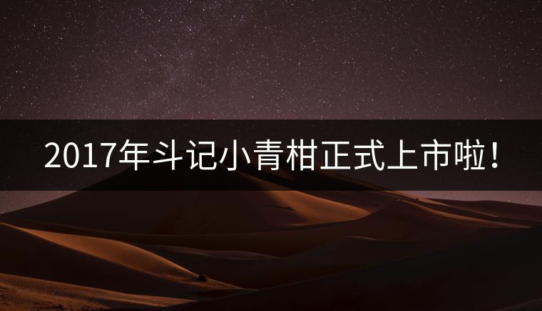 2017年斗記小青柑正式上市啦！