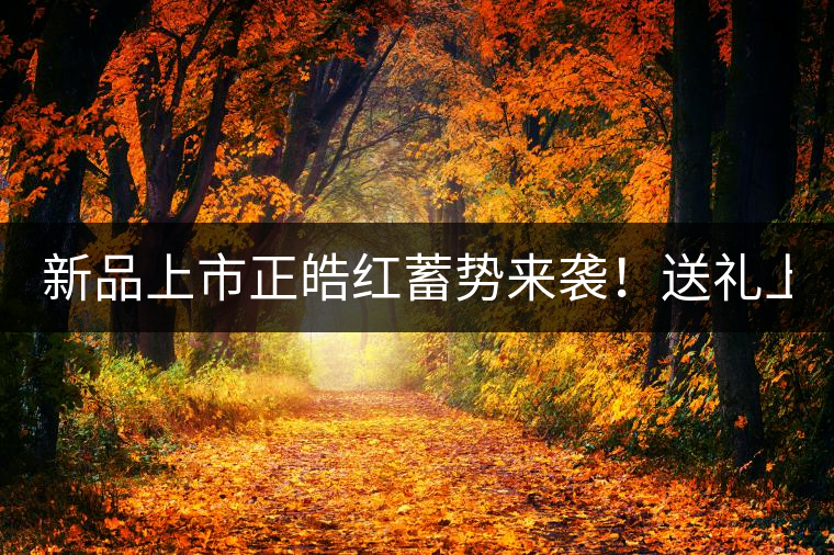 新品上市正皓紅蓄勢來襲！送禮上上之選！