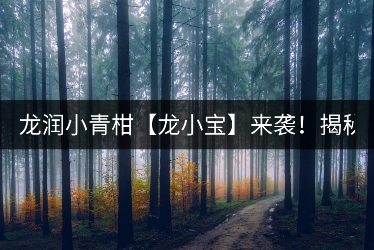 龍潤小青柑【龍小寶】來襲！揭秘它的前半生！