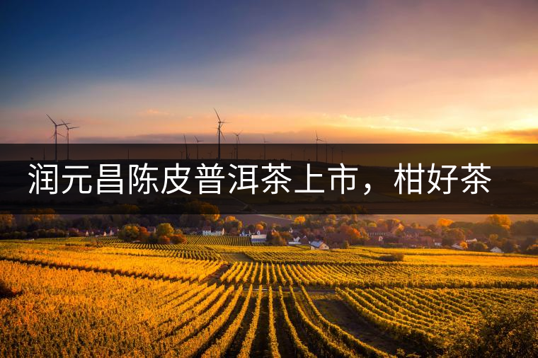 潤元昌陳皮普洱茶上市，柑好茶更好，精品普洱茶