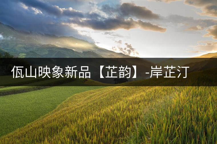 佤山映象新品【芷韻】-岸芷汀蘭，出一杯甘厚普洱