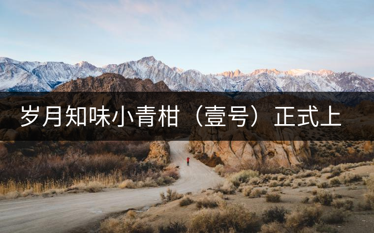 歲月知味小青柑(壹號(hào))正式上市 歲月知味小青柑(壹號(hào))正式上市