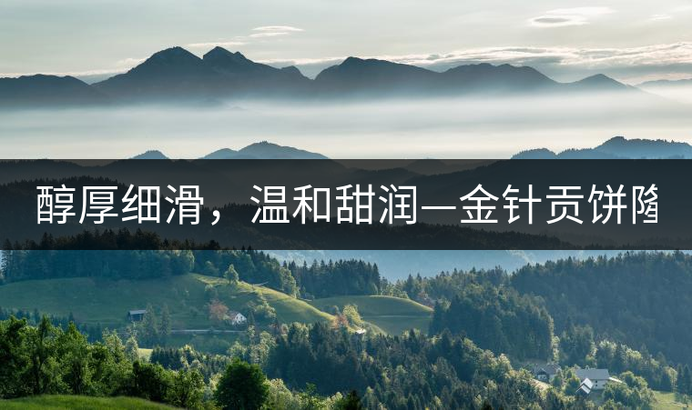 醇厚細滑，溫和甜潤—金針貢餅隆重上市！