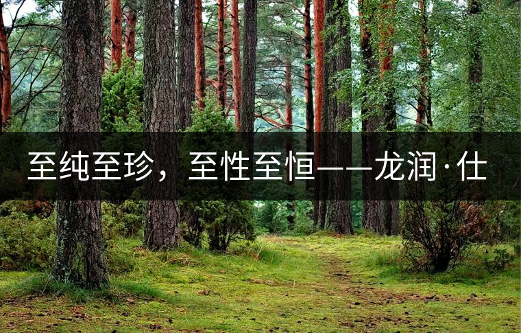 至純至珍，至性至恒——龍潤(rùn)·仕通茶新上市！