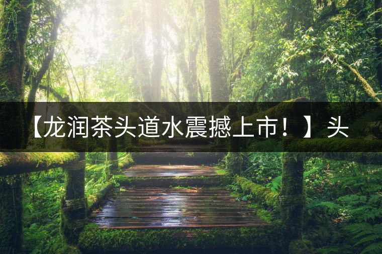 【龍潤茶頭道水震撼上市！】頭道水，二道茶，三道四道是精華！