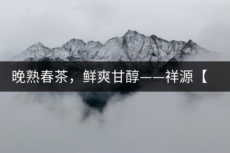 晚熟春茶，鮮爽甘醇——祥源【政和大白】清鮮上市