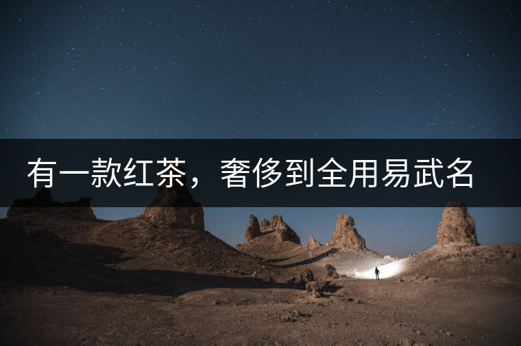 有一款紅茶，奢侈到全用易武名寨古樹茶發(fā)酵！