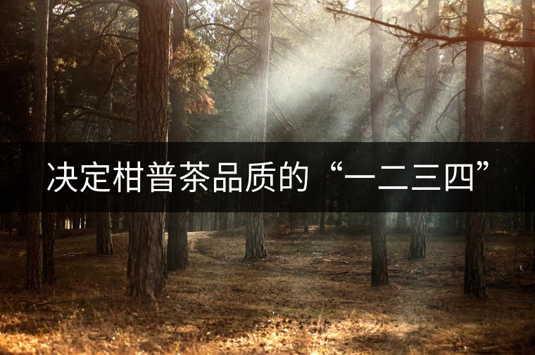 決定柑普茶品質(zhì)的“一二三四”