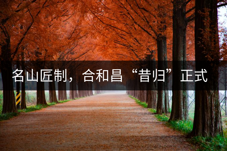 名山匠制，合和昌“昔歸”正式上市