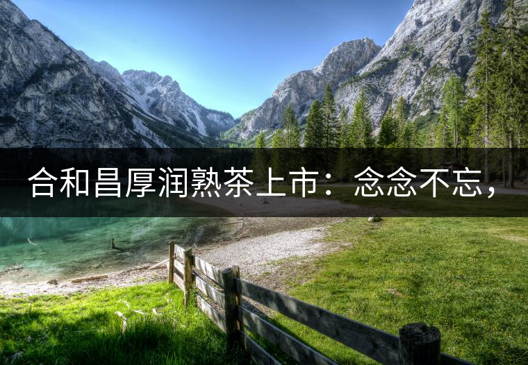 合和昌厚潤熟茶上市：念念不忘，必有回響！