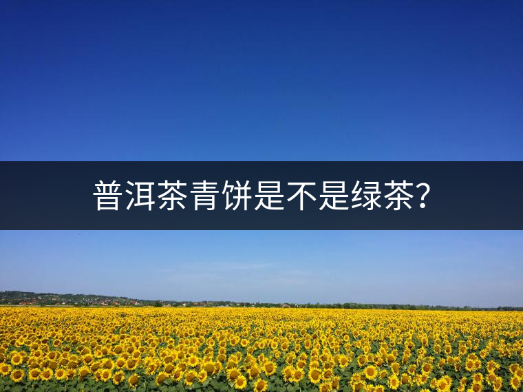 普洱茶青餅是不是綠茶？