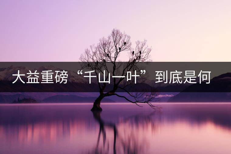 大益重磅“千山一葉”到底是何方神圣？